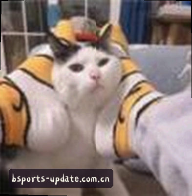 陈先生